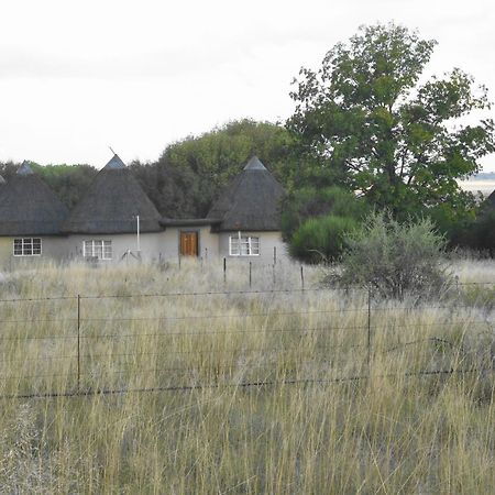 Van Zylsvlei - A Karoo Guest Farm Colesberg Extérieur photo